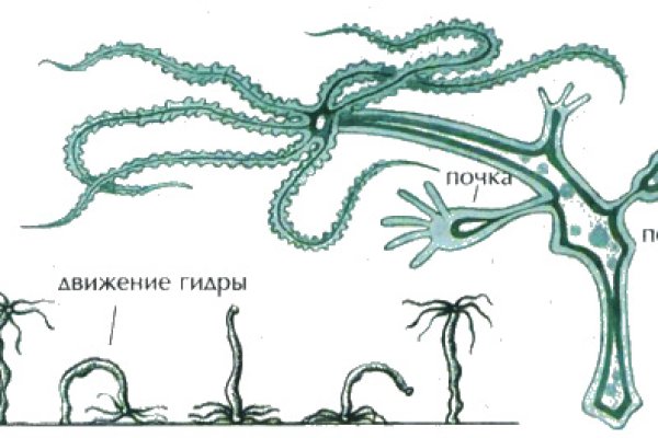 Kraken магазин тор