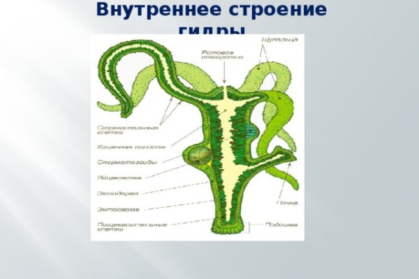 Кракен ссылка тор на сайт