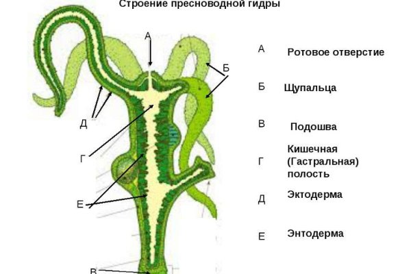 Кракен актуальное зеркало