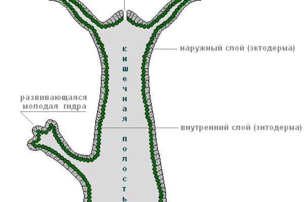 Кракен это наркозависимость